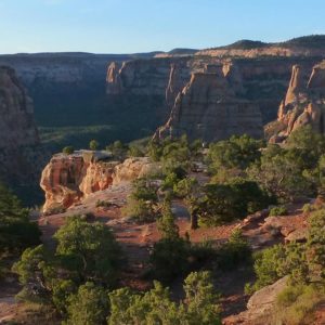 Green scrub trees cover the foreground before a wide canyon open up below a bright blue sky.