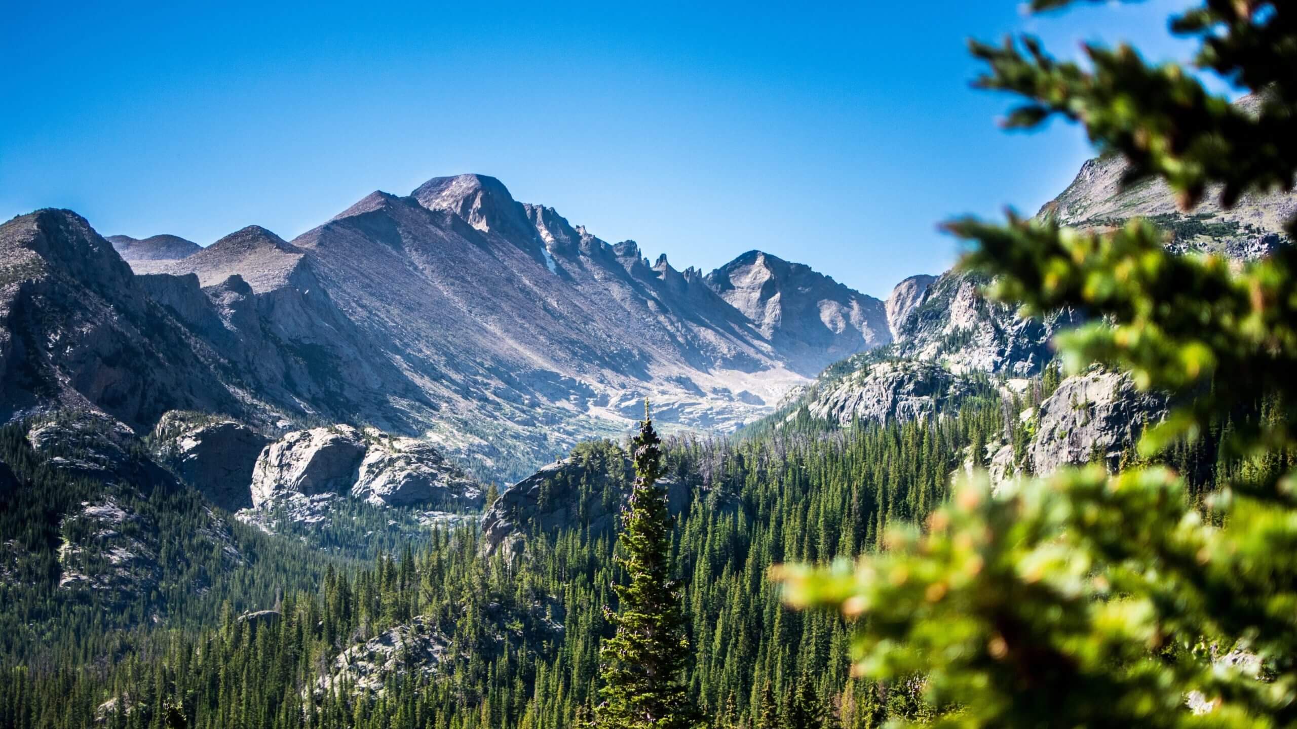 Blue sky above a row of blue-gray mountains in the background, with abundant evergreen trees in the foreground.